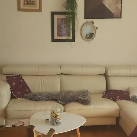 Porodicni Apartman 公寓 *